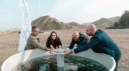 Leyla Əliyeva Mingəçevirdə ekoloji aksiyalarda – FOTO