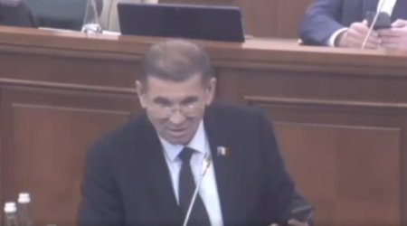 Moldovalı deputat cinsi azlıqların yaranmasında Puşkini GÜNAHLANDIRDI - VİDEO