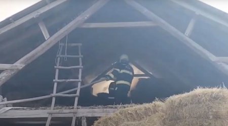 Qəbələnin Nic kəndində güclü yanğın oldu - VİDEO