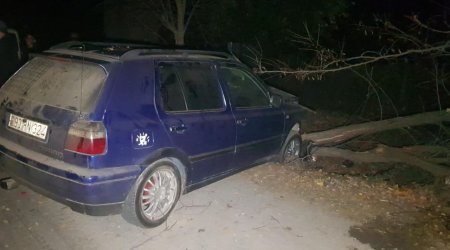 Göyçayda AĞIR QƏZA: Sürücü xəsarət aldı - FOTO/VİDEO