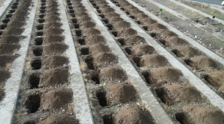 Təcili 500 məzar qazıldı - Türkiyədə diqqətçəkən hazırlıq - FOTO