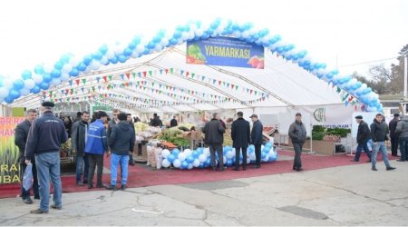 Yeni il ərəfəsində paytaxtda bayram yarmarkaları təşkil olunacaq? - RƏSMİ AÇIQLAMA