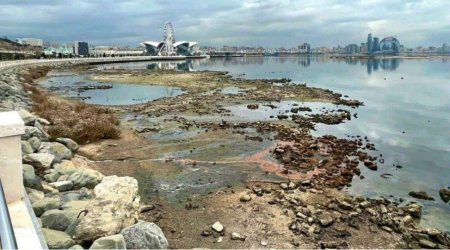 Xəzərdə suyun azalması ilə bağlı HƏYƏCAN TƏBİLİ – Qorxunc xəstəliklər ARTA BİLƏR