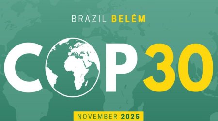 COP-a sədrlik Azərbaycandan Braziliyaya təhvil verildi