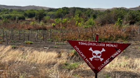 İşğaldan azad edilmiş ərazilərdə daha 234 mina AŞKARLANDI