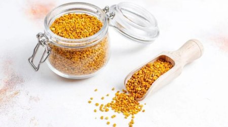 Təbii antibakterial: Propolis nədir?