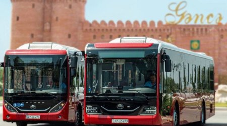 Gəncədə "BakuBus" sürücüsü ilə sərnişin arasında MÜBAHİSƏ – VİDEO