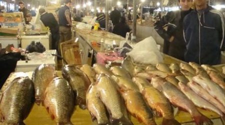 Əgər balığın qarnı belədirsə, almayın!