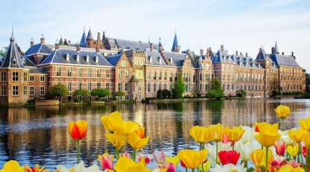 Bu ölkələrdə hamı ingilis dilini BİLİR