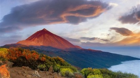 Kanar adalarında 2 min il əvvəl əkilmiş məhsul tapıldı