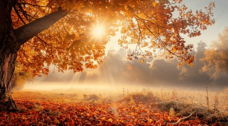 Noyabrda havanın temperaturu normadan yuxarı olub