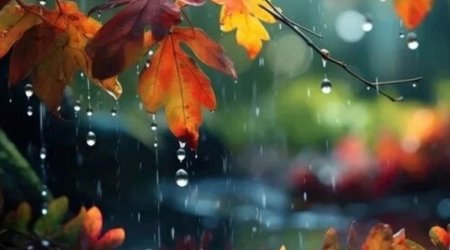 Bölgələrdə yağıntılı hava müşahidə olunur - FAKTİKİ HAVA