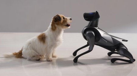 Azərbaycanlı bloger robot it aldı - VİDEO