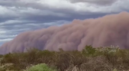 Avstraliyada qızıl mədənini qum fırtınası cənginə aldı – ANBAAN VİDEO