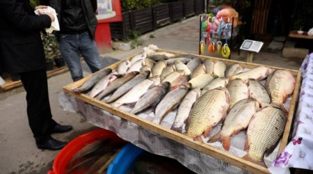 Bakının bu ərazisində qanunsuz küçə satışına qarşı REYD – FOTO/VİDEO