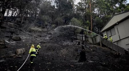 Avstraliyada meşə yanğınları tüğyan edir