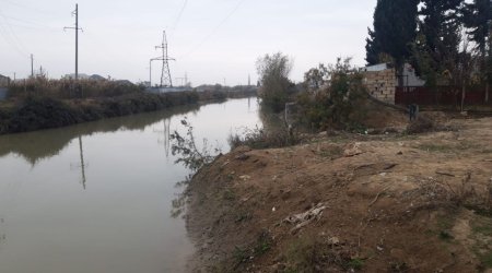 Biləsuvar qəzasında həyatını itirən 5 nəfərin adı AÇIQLANDI - VİDEO