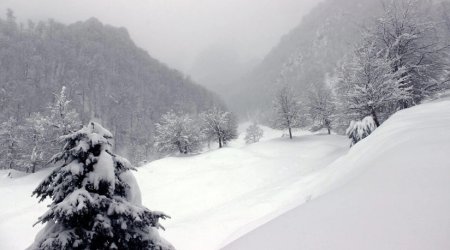 Bu rayonlara qar yağır - FAKTİKİ HAVA