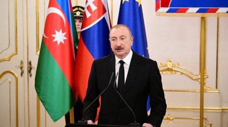 Prezident: “Bizdə kifayət qədər böyük enerji potensialı var”