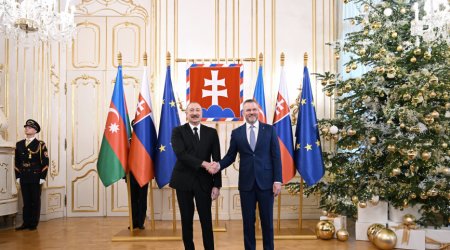 Prezident Slovakiya səfərindən paylaşım edib - VİDEO