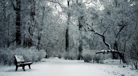 Sabah qar yağacaq &ndash; 13 dərəcə şaxta olacaq