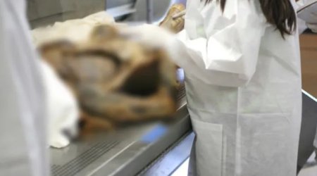 Cəsəd parçalarını bəzək əşyası kimi satırmış - DƏHŞƏTLİ CİNAYƏT