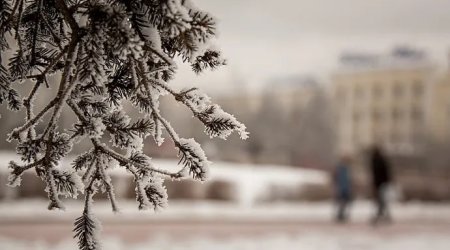 GÜNÜN HAVASI: Duman, şaxta...