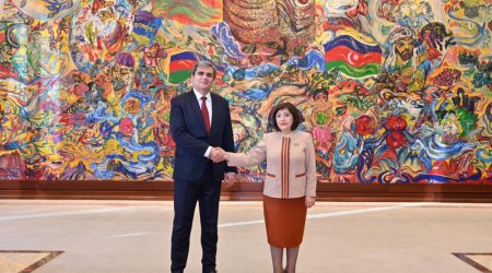 Sahibə Qafarova Monteneqro XİN rəhbəri ilə görüşdü &ndash; FOTO