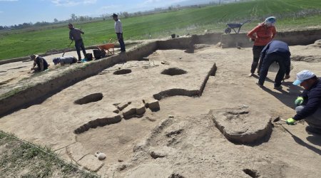 Torpaq altından baş qaldıran TARİX - Arxeoloqlar 2025-ci ildə nəyi üzə çıxardı?