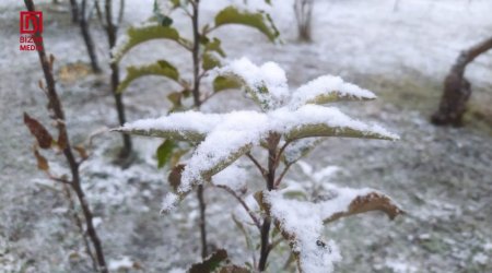 Şimal-Qərb bölgəsində ilk qar &ndash; FOTO