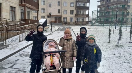 Cəbrayıl şəhərinə və Horovlu kəndinə də qar yağdı - FOTO