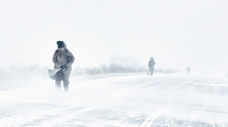Bu ölkədə fırtına - 160 mindən çox ev elektriksiz qaldı