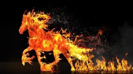 Alovlu AT İLİ &ndash; Qazanc, böyük dəyişiklik, yoxsa RİSK?