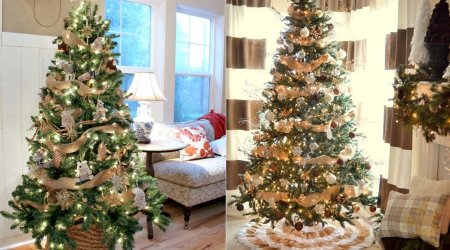 Allergiyası olanlar &ldquo;Yolka&rdquo;dan uzaq dursunlar &ndash; Həkimdən təhlükəsi barədə XƏBƏRDARLIQ