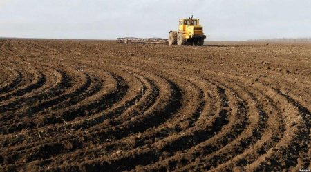 Həsənriz kəndində torpaqlar əkin üçün istifadəyə veriləcək