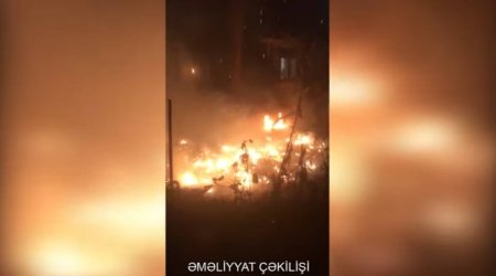 Bakıda ağaclıq sahədə YANĞIN OLUB - VİDEO