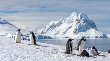 Antarktidada itən robot 9 ay sonra qorxulu məlumatlarla geri döndü