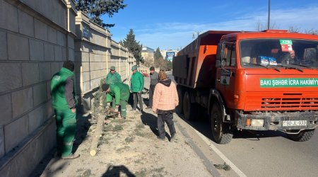Bakıda güclü küləyin törətdiyi FƏSADLAR &ndash; FOTO