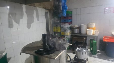 Masazırda qanunsuz fəaliyyət göstərən quş kəsimi sexi aşkarlandı - FOTO