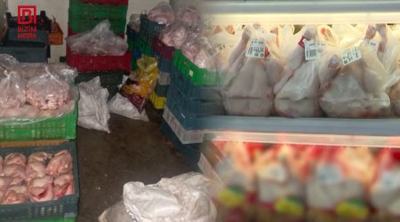 Masazır sakinləri RİSK ALTINDA – Çirkab içində kəsilən toyuqlar hansı marketlərə paylanıb? – VİDEO