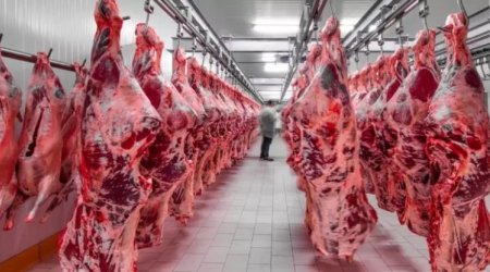 Azərbaycanda bu ölkələrdən gətirilən ətlər satılır - SİYAHI