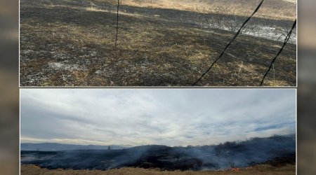 Xocalıda yanğına səbəb olan şəxs SAXLANILDI