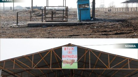 İmişlidə heyvan bazarı açıldı – FOTO