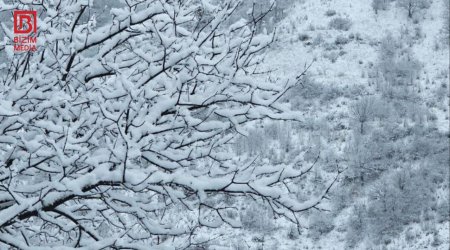 Qərb bölgəsinin bu ərazilərinə güclü qar yağır – FOTO