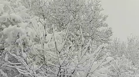 Qaxda qarın hündürlüyü 45 sm-ə çatdı &ndash; VİDEO