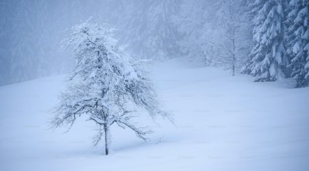 Sabahın HAVASI: 20 dərəcə şaxta, qar...