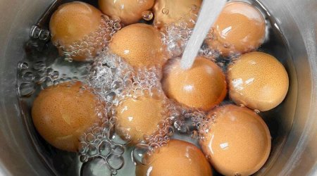 Su qaynadıqdan neçə dəqiqə sonra yumurta hazır olur?