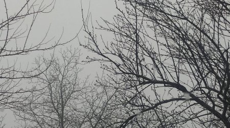 Bu bölgəmizə də qar yağır - FOTO/VİDEO