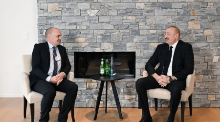 İlham Əliyev Davosda Danimarka şirkətinin baş vitse-prezidenti ilə görüşdü - FOTO/VİDEO