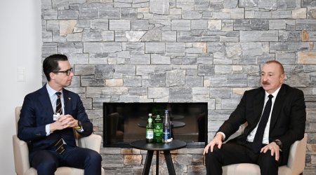 İlham Əliyev Davosda "Carlsberg Group" şirkətinin Baş icraçı direktoru ilə görüşüb - FOTO